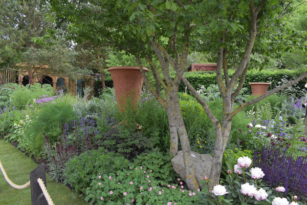 CHELSEA SPECIAL: THE SHOW GARDENS AS GRACE & THORN BOUQUETS