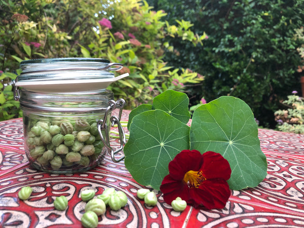 ALL KINDS OF CAPER: MAKE YOUR NASTURTIUM CAPERS!