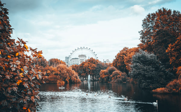 KEEP IT GREEN, RED, ORANGE AND GOLD: LONDON'S BEST AUTUMNAL SPOTS