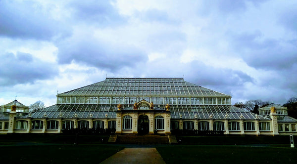 TEMPTATIONS IN THE TEMPERATE HOUSE