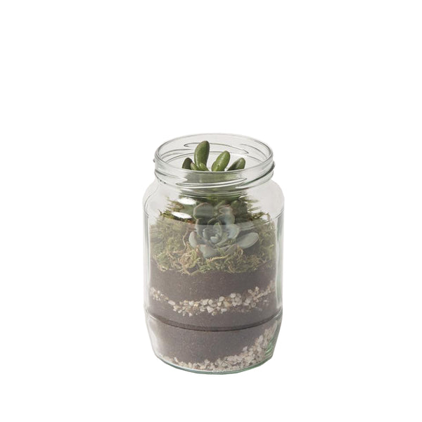 Mayo Jar Terrarium