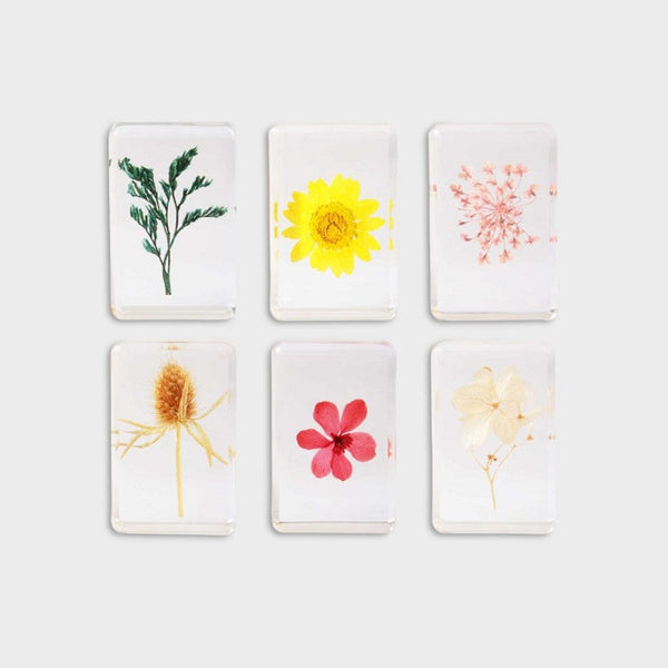 Wildflower Cube Small